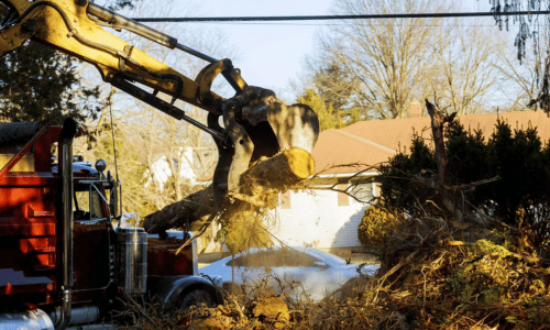 Excavator lifting a large tree trunk from a residential yard, demonstrating tree removal services for landscape clearing and safety.