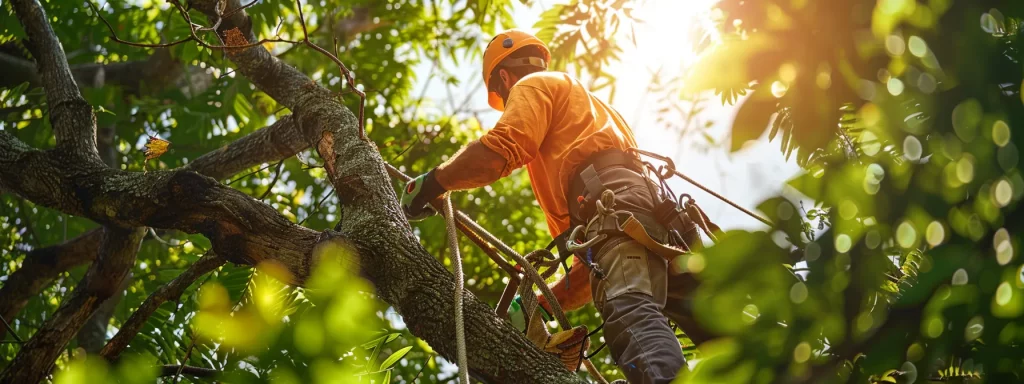 Tree care professional in orange safety gear trimming branches in sunlit Central Florida landscape, emphasizing tree maintenance for property value and safety.