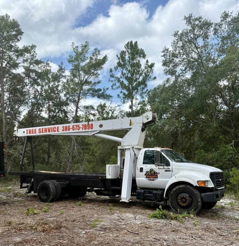 Tree service truck with boom lift in wooded area, featuring contact information for tree care services, relevant to tree maintenance and care in Orlando.