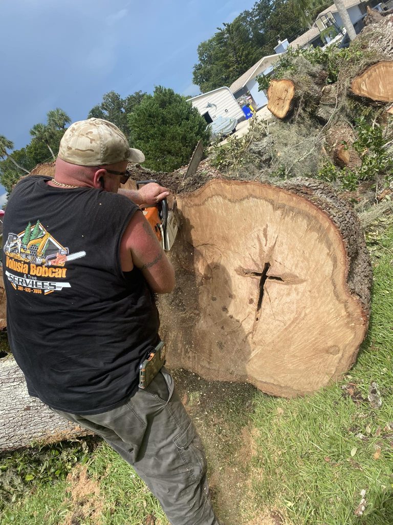 Man using a chainsaw to cut a large tree stump, showcasing tree removal services in Orlando, surrounded by greenery and debris from tree maintenance.