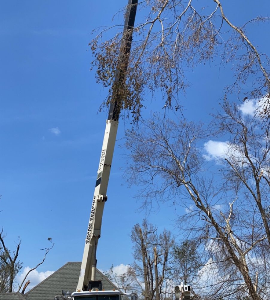Crane lifting to remove hazardous tree branches above a house, showcasing professional tree care service in Longwood, FL.