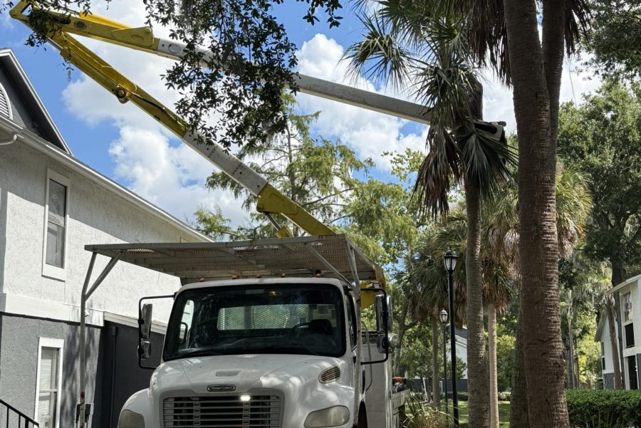Tree service truck with extended lift, positioned near residential building, surrounded by palm trees and blue sky, illustrating professional arborist services in Orlando.