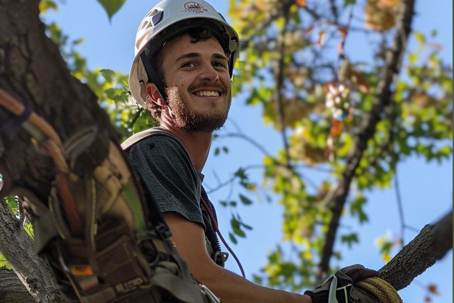 Tree Service Near me Tree Trimming